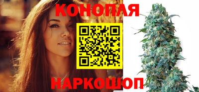 метадон Гусев