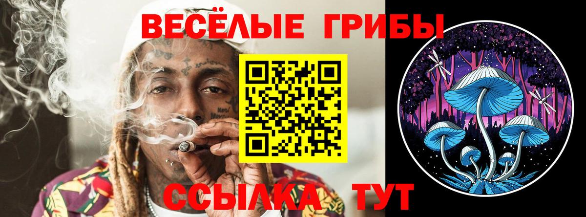 Нефтеюганск  Галлюциногенные грибы Cubensis  Псилоцибиновые грибы Cubensis  Вход с VPN 